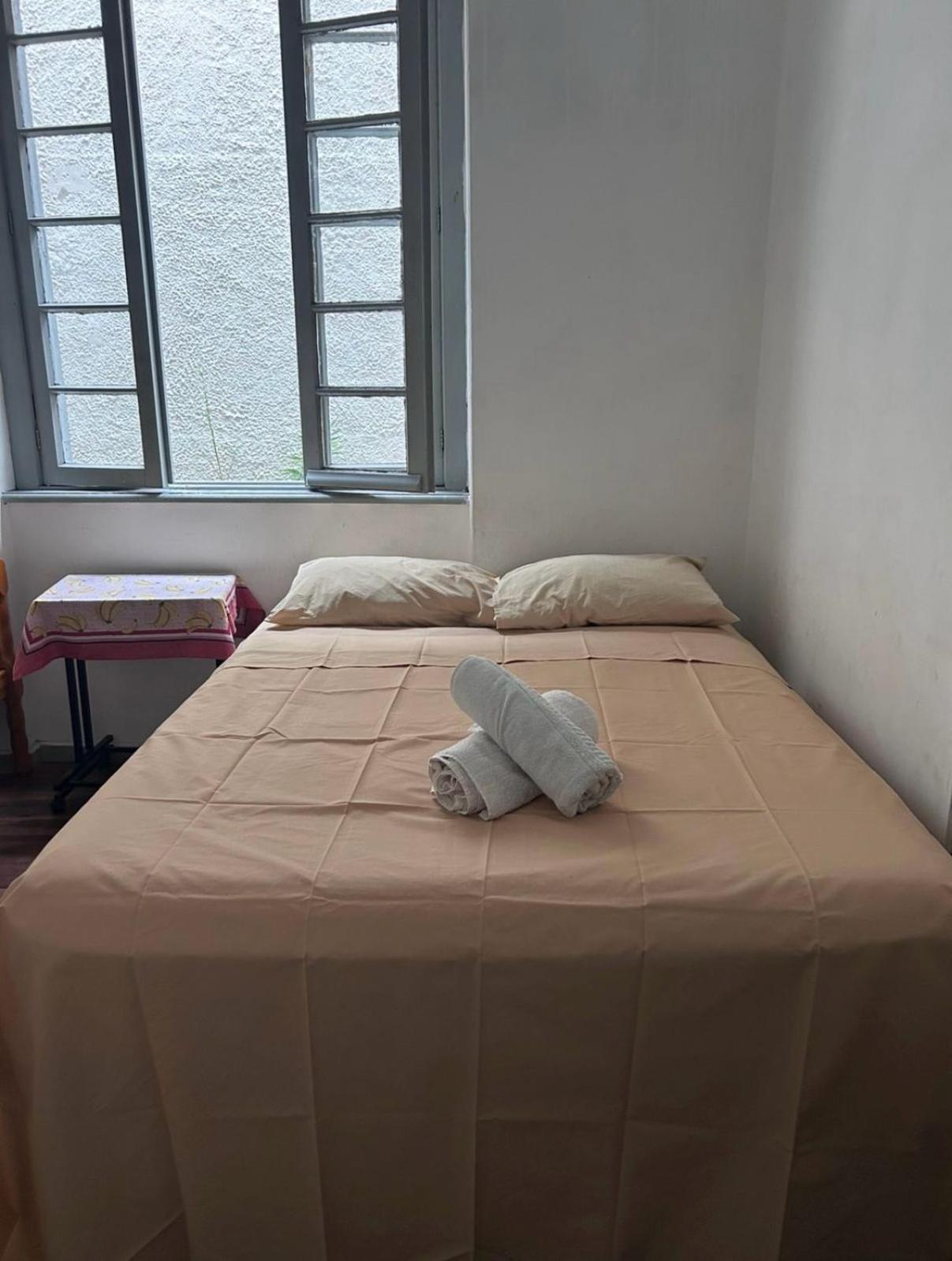 Proximo A Shopping Total - Rodoviaria - Hosp Presidente Vargas Hostel Porto Alegre